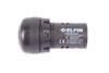 020SA24 NEW ELFIN CICALINO DA INCASSO