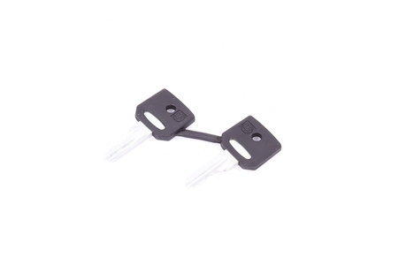 ZBG458A SCHNEIDER ELECTRIC 458A SET DI 2 CHIAVI