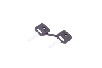 ZBG458A SCHNEIDER ELECTRIC 458A SET DI 2 CHIAVI