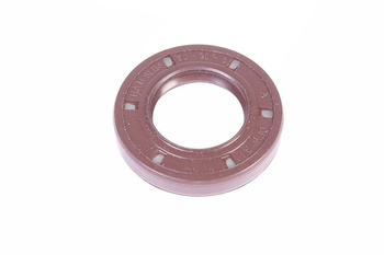 20X35X6 FREUDENBERG BABSL05 75FKM595 PARAOLIO
