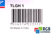 TLGH 1 SKF INGRASSATORE