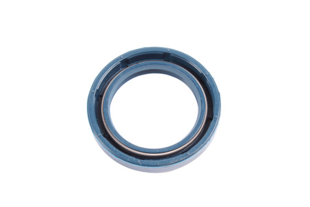 BABSL CORTECO 19015774B PARAOLIO