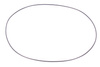 255X2.5 ORING PARAOLIO