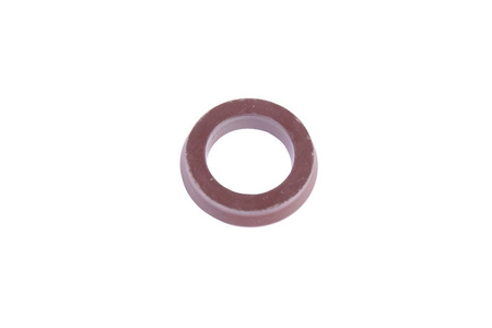 25X17X5 FREUDENBERG NAPN PARAOLIO