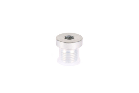 VSTI BSP 1/4" ED HYDRON TAPPO FILETTATO A BRUGOLA