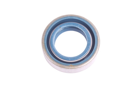 17X28X8 CORTECO B1DUO NBR PARAOLIO